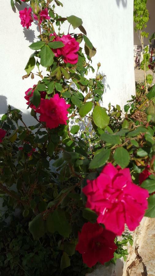 Giardini Di Lanzo Villa Martina Franca Eksteriør bilde